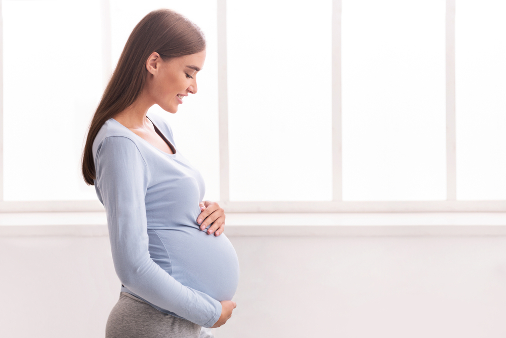 Pregnancy. Joyful Expectant Woman Touching Belly And Smiling Standing Near Window At Home. Free Space